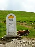 Meilenstein auf der Passhöhe
