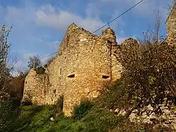 Burgruine