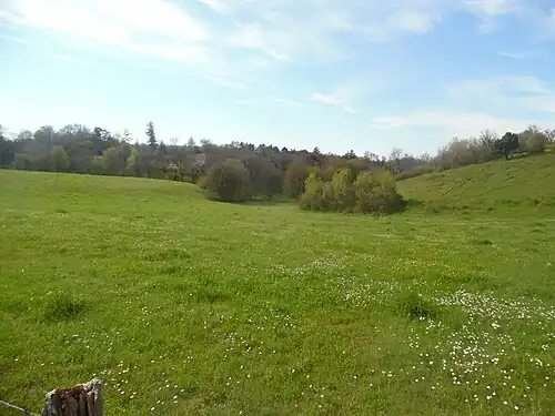 Blick ins Trockental Combe Falide beim Schloss Montcheuil (Saint-Martial-de-Valette)