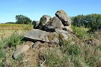 Die Allée couverte von Chevrot ist ein Galeriegrab in Combourg