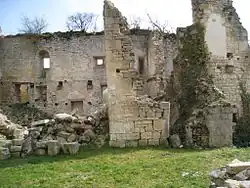 Burgruine