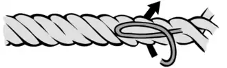 Takling – Schritt 1