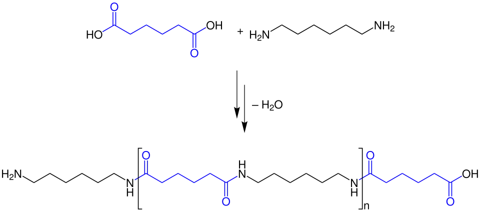 Polykondensationsreaktion von Adipinsäure mit HMDA (Hexamethylendiamin) zu Nylon 6,6