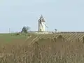 Windmühle