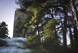 Conna Castle