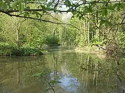 Mündung des Floßgrabens