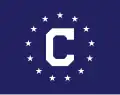 Consular officer
