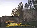 Ruine des Franziskanerkonvents
