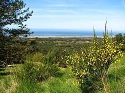 … Ausblick vom Mont St Frieux