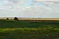 Landschaft bei Kengyel