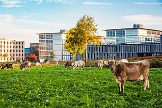 Hönggerberg Campus