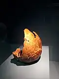 Neandertaler-Fossil Biache 1