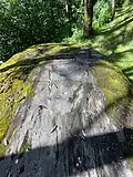 Oberfläche, in der Mitte eine Schale