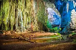 Janelão-Höhle (Gruta do Janelão) im Nationalpark Cavernas do Peruaçu (Parque Nacional Cavernas do Peruaçu).