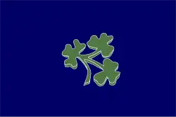 Irish Cricket Union