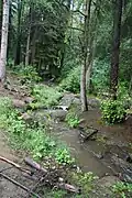 Der Voigtsbach nahe der Mündung