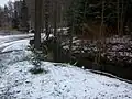 Crinitzer Wasser bei den Quarksteinen