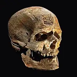 Schädel und Unterkiefer des Typusexemplars Cro-Magnon&nbsp;I