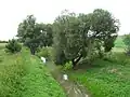 Cuhai-Bakony-ér nördlich von Bőny