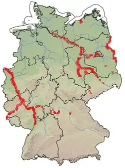 Verbreitung der Pappelseide in Deutschland nach Meldungen im Portal GBIF.org, Stand 12/2025
