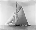 Shamrock II, 1901