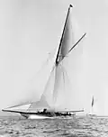 Shamrock III, 1903