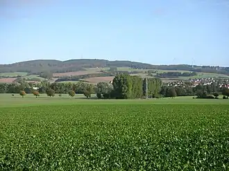 Blick aus dem Bega­tal mit Humfeld nordwärts zum Dörenberg