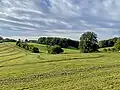 Umgebung Dörpfelder Bachtal