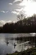 Herzteich