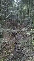 Graben an der Nordseite der Nesselscheibe (Dürnbachlüß)