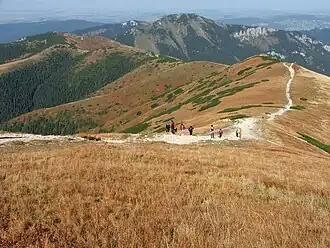 Blick vom Rakoń auf den Grześ