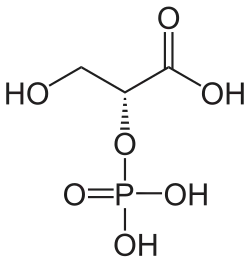 Strukturformel von D-2-Phosphoglycerinsäure