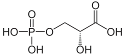 Strukturformel von 3-Phosphoglycerinsäure