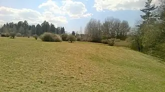 Typische Landschaft im Naturschutzgebiet Tannhörnle