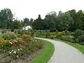 Rosarium