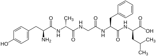Struktur von DADLE