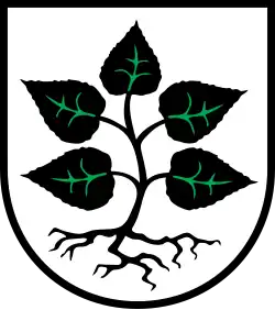 Entwurzelte Lindenstaude mit Blattäderung (Lörzweiler/DE)