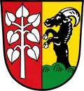 Schwifting
