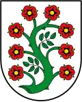 Acht Rosenblüten auch in Selfkant