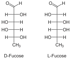 Struktur von Fucose