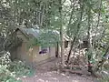 Das DRK Zeltlager im Wald