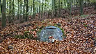 Eingang Nebelhöhle