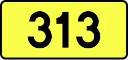 DW313