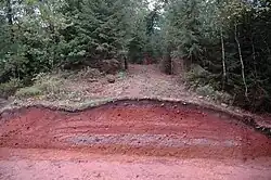 Freigelegtes Profil der Römerstraße Trier-Köln bei Dahlem, Eifel