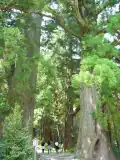 Pilgerweg Daimonzaka