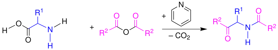 Übersicht Dakin-West-Reaktion