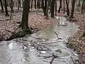 Nachwirkungen von Regen und Sturm