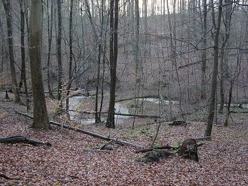 Mäander in der Dalbekschlucht