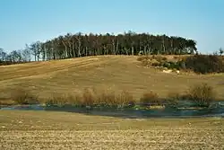 Endmoräne bei Dalinghausen