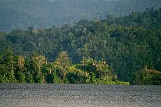 Nationalpark Lore Lindu